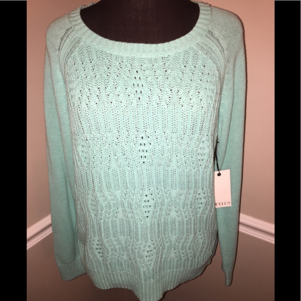 NWT Stylus Women’s Sweater Large Cottagecore Mint Green